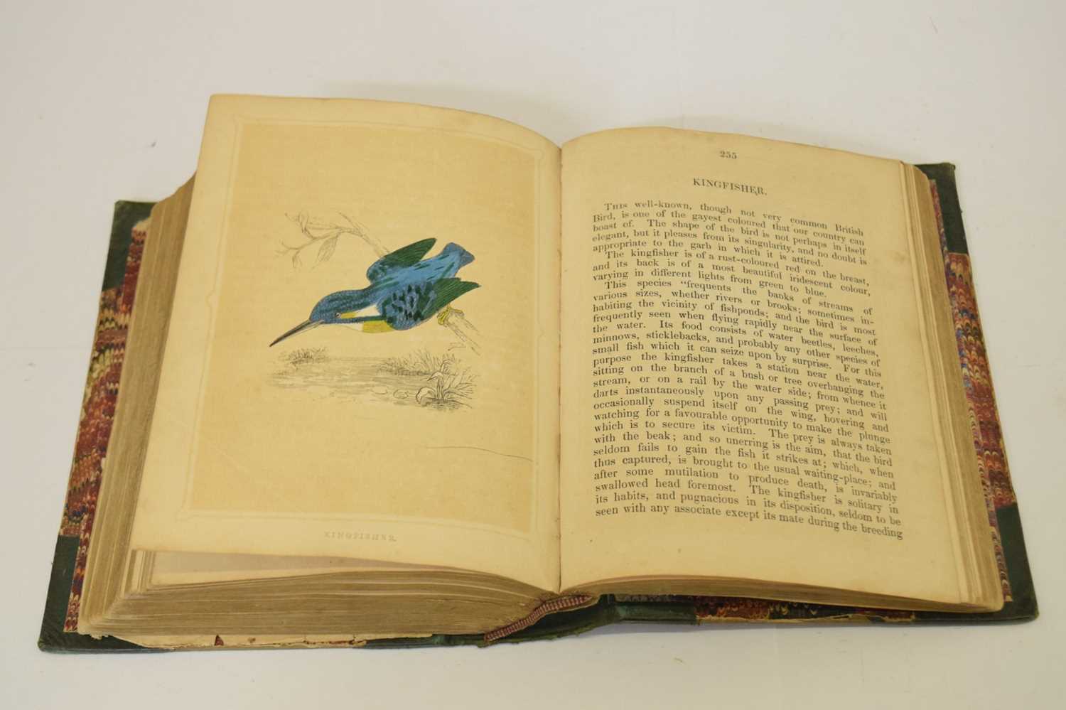 Rev F. O. Morris, B.A., 'Book of Natural History' - First edition 1852 - Image 7 of 7