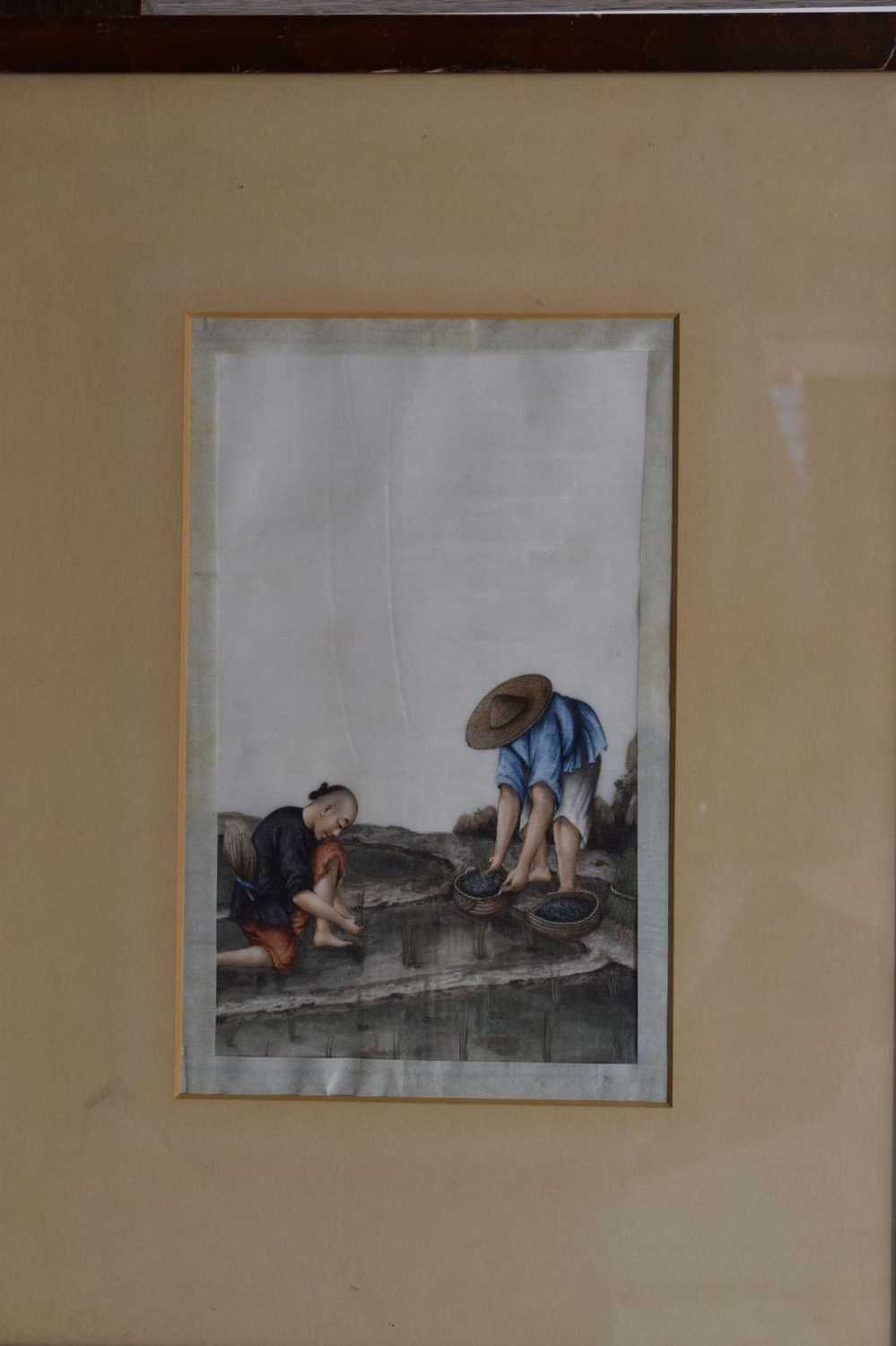 Pair of 19th century Chinese watercolours on pith paper - rice farming scenes - Image 3 of 16