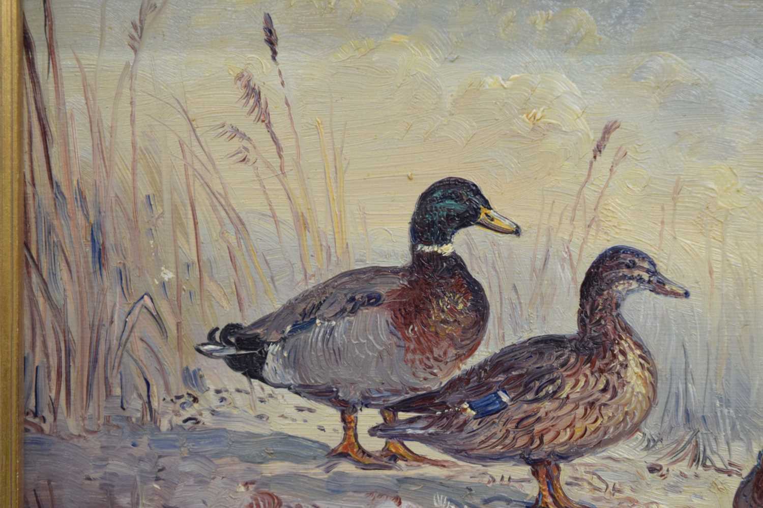 John Mace (b. 1937) - Two small oils on board - Mallards - Image 8 of 10