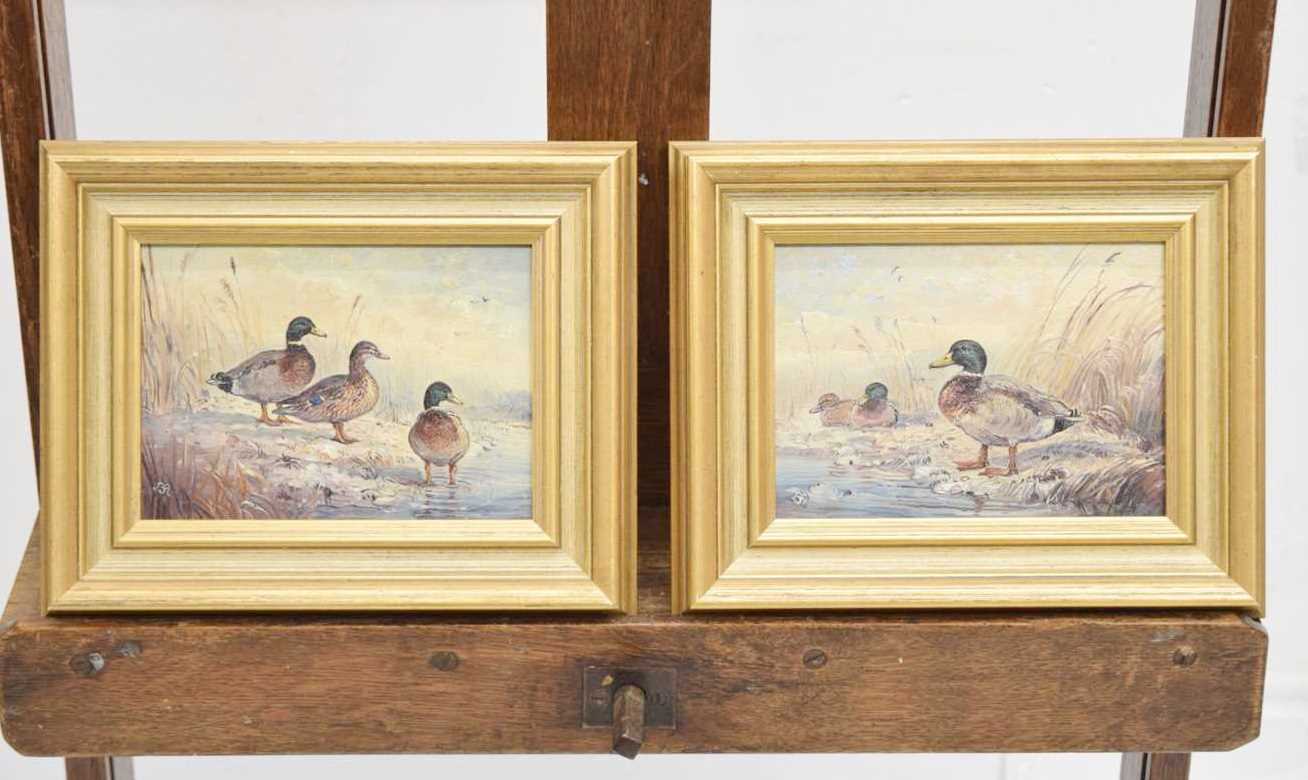 John Mace (b. 1937) - Two small oils on board - Mallards - Image 2 of 10