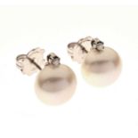 Pair of cultured pearl ear studs