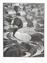 Colin See-Paynton (b. 1946) - Limited edition etching - 'Knob of Pochards'