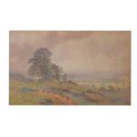 Martin Snape (1852-1930) - Watercolour - Vale of Clwyd, North Wales