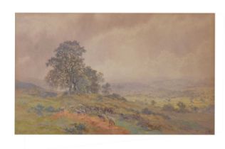 Martin Snape (1852-1930) - Watercolour - Vale of Clwyd, North Wales