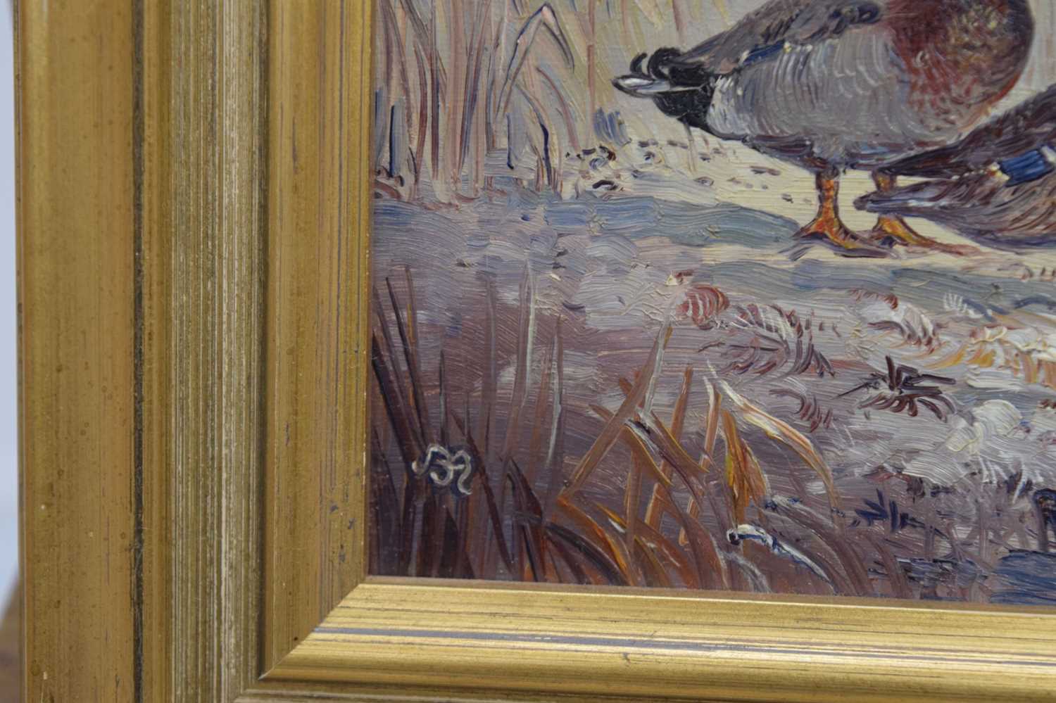 John Mace (b. 1937) - Two small oils on board - Mallards - Image 7 of 10