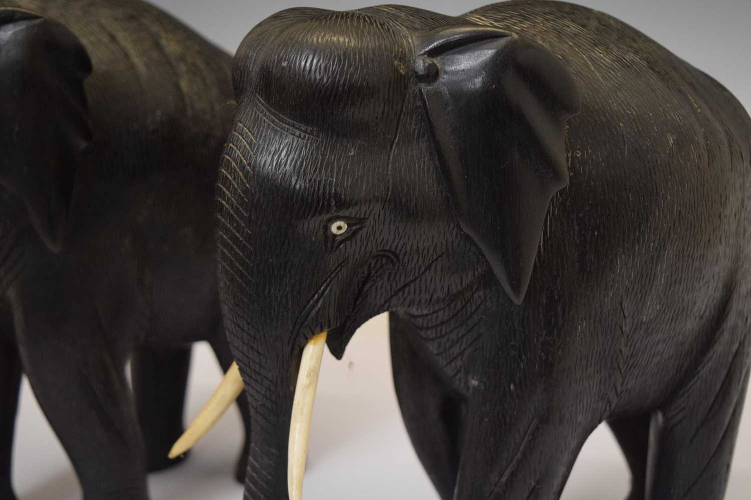 Pair of ebony elephants with ivory tusks - Image 3 of 7