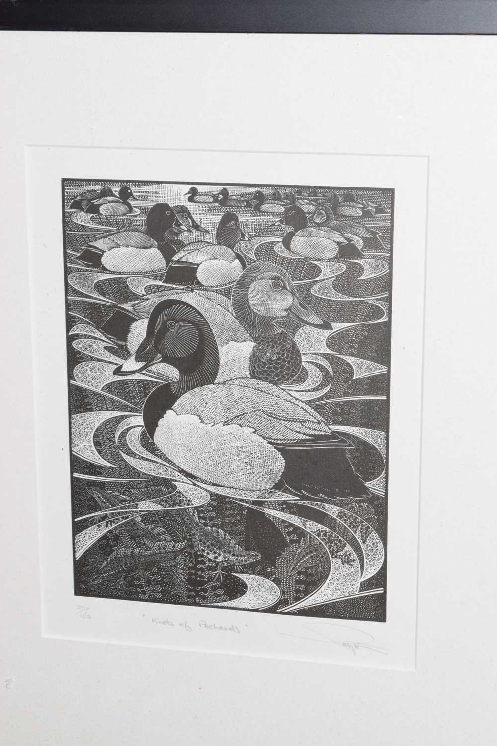 Colin See-Paynton (b. 1946) - Limited edition etching - 'Knob of Pochards' - Image 2 of 9