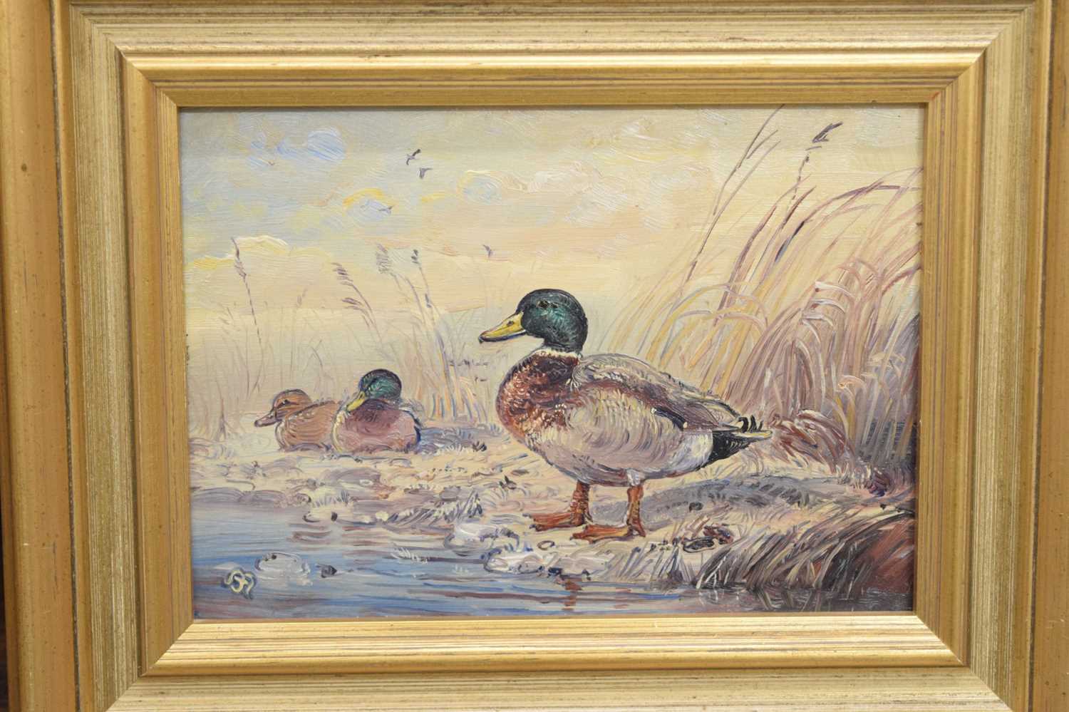 John Mace (b. 1937) - Two small oils on board - Mallards - Image 3 of 10