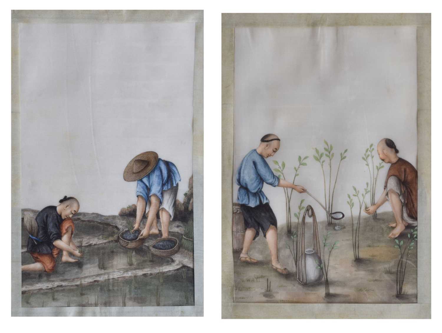 Pair of 19th century Chinese watercolours on pith paper - rice farming scenes