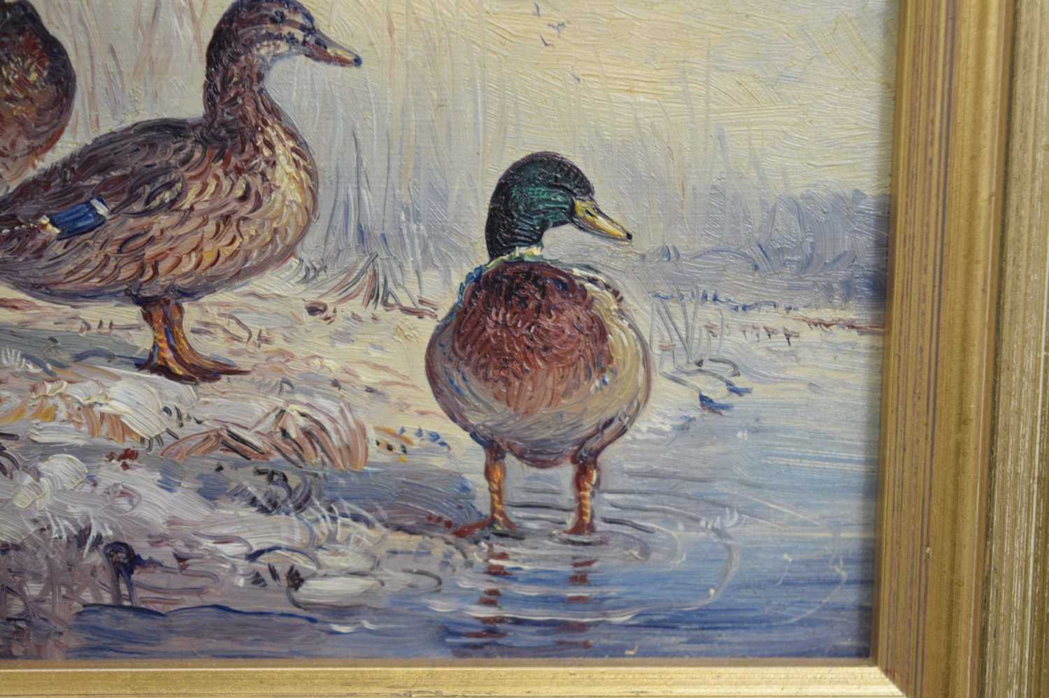 John Mace (b. 1937) - Two small oils on board - Mallards - Image 9 of 10