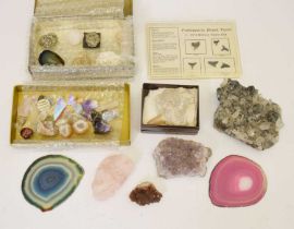 Collection of specimens, fossils, prehistoric shark teeth etc