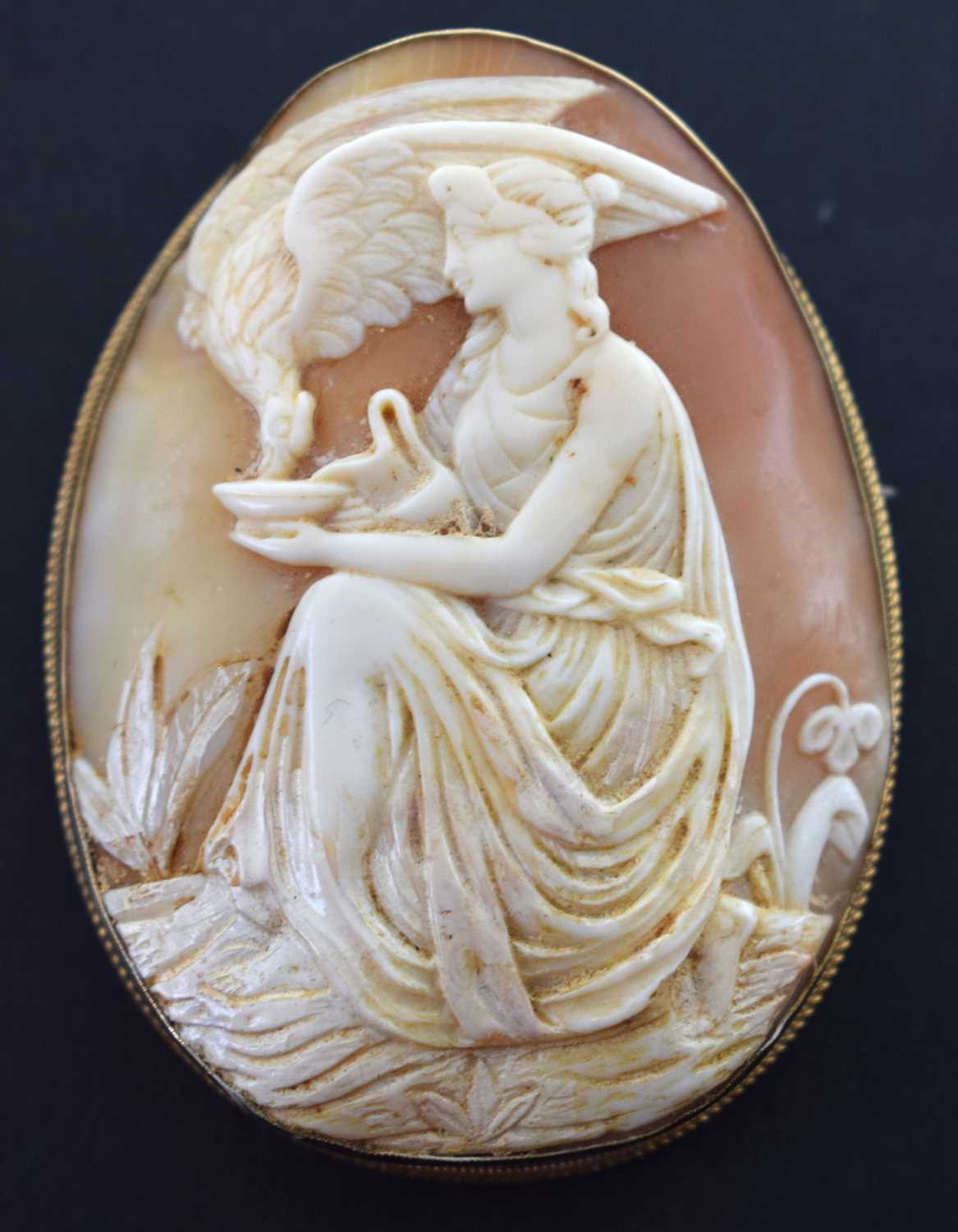 Large 9ct gold shell cameo brooch