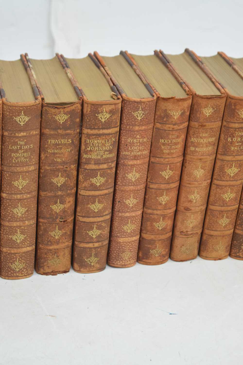 Twenty volumes from 'Sir John Lubbock's Hundred Books', leather bound, circa 1898 - Image 6 of 10