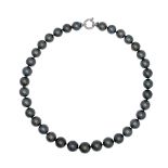 Single strand of Tahitian pearl necklace