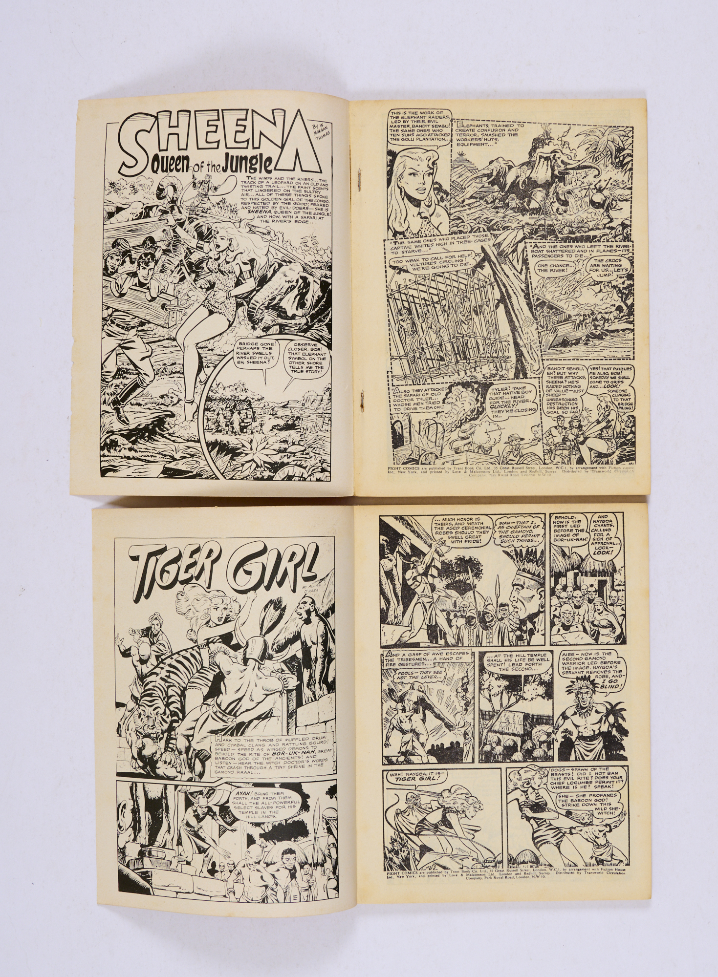 Fight Comics 2, 3 (Trent Book Co, 1960). King-Size 68 pg issues. Starring Tiger Girl, Sheena, Jungle - Image 2 of 3