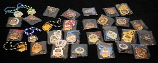 Large collection of Ascot Racecourse enamel members badges