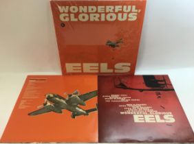 EELS 10” VINYL DOUBLE RECORD ‘WONDERFUL GLORIOUS’. This is a superb copy of this Double Album '