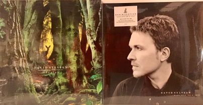 2 x SEALED VINYL ALBUMS FROM DAVID SYLVIAN. The selections here include - Manafon - Dead Bees On A