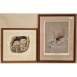Two framed and glazed ltd edition prints relating to owls to include "The Silent Hunter" by Pam