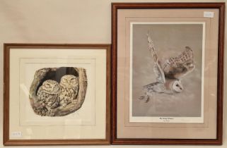 Two framed and glazed ltd edition prints relating to owls to include "The Silent Hunter" by Pam