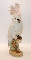 Large vintage Royal Dux porcelain Cockatoo with pink crest. 41cms tall