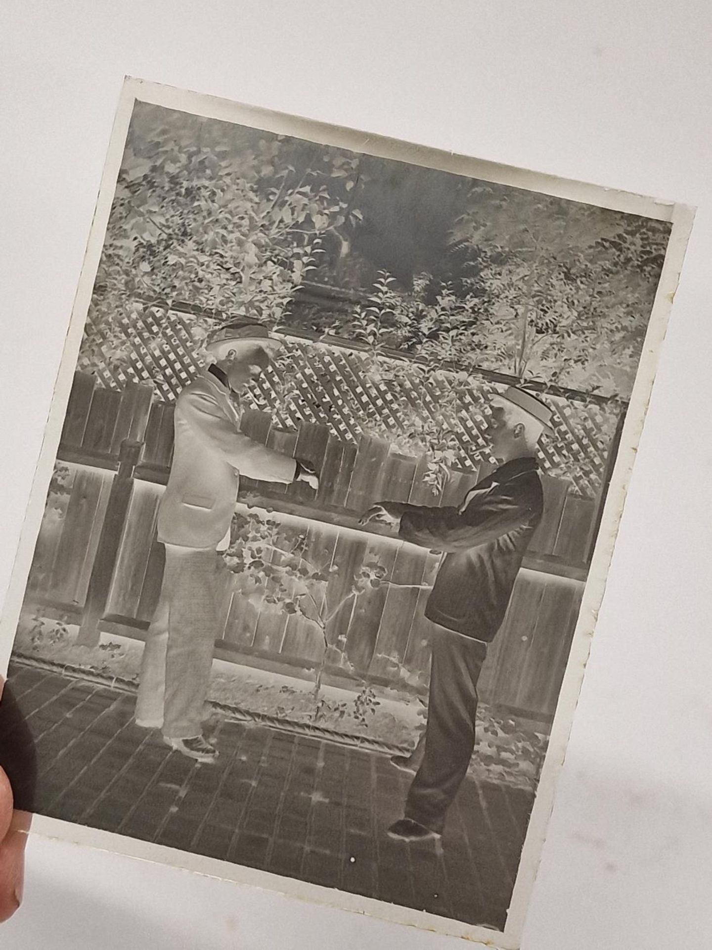 A wooden box containing a collection of antique glass slides. Various subjects. - Image 4 of 4