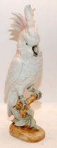 Large vintage Royal Dux porcelain Cockatoo with pink crest. 41cms tall