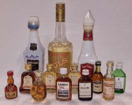 Collection of alcohol to include Bols Liqueur and a selection of miniatures.