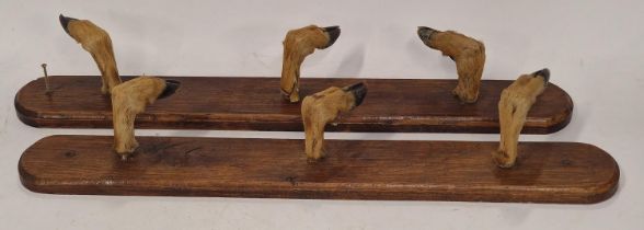 Two taxidermy deer feet coat hanging hooks, one requiring some restoration.