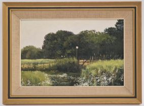 Pamela Derry: Framed and signed oil on board painting "The Way to the Wood" 59x43cm.