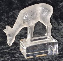 Lalique France glass grazing fallow deer figure signed 9cm tall.