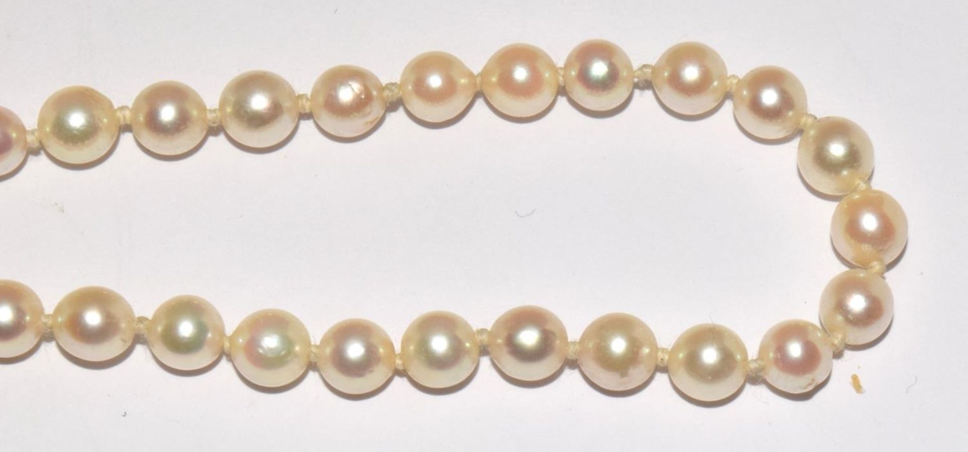A pearl necklace with 18ct gold clasp, diamonds and sapphires set into the clasp with silver top. - Image 4 of 5