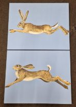 Krysyna Evans: Local artist two contemporary oil on canvas paintings of hares "Mr Hot Pursuit"