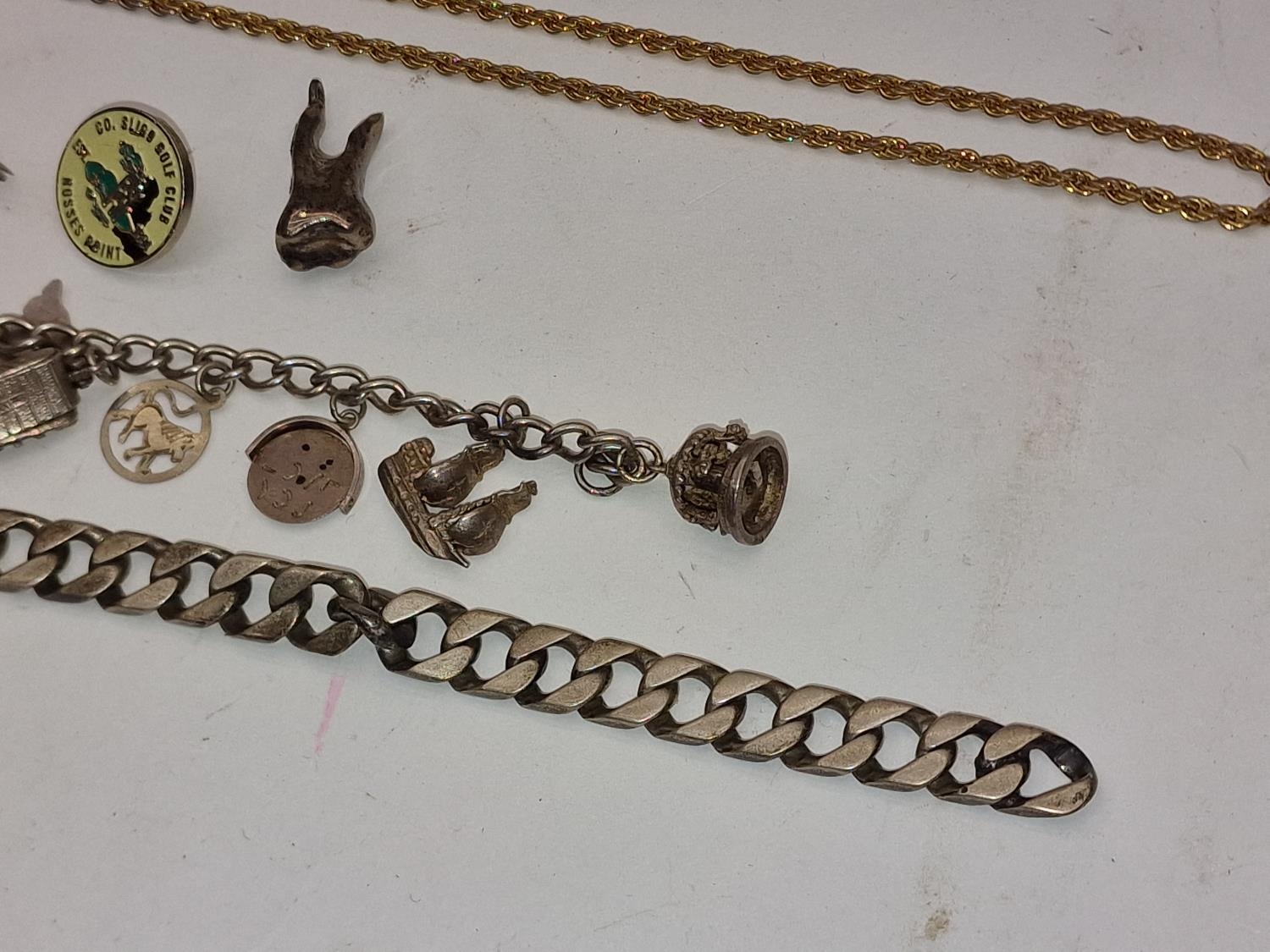 Silver charm bracelet and charms (10) together a flat link bracelet and other collectable jewellery - Image 3 of 3