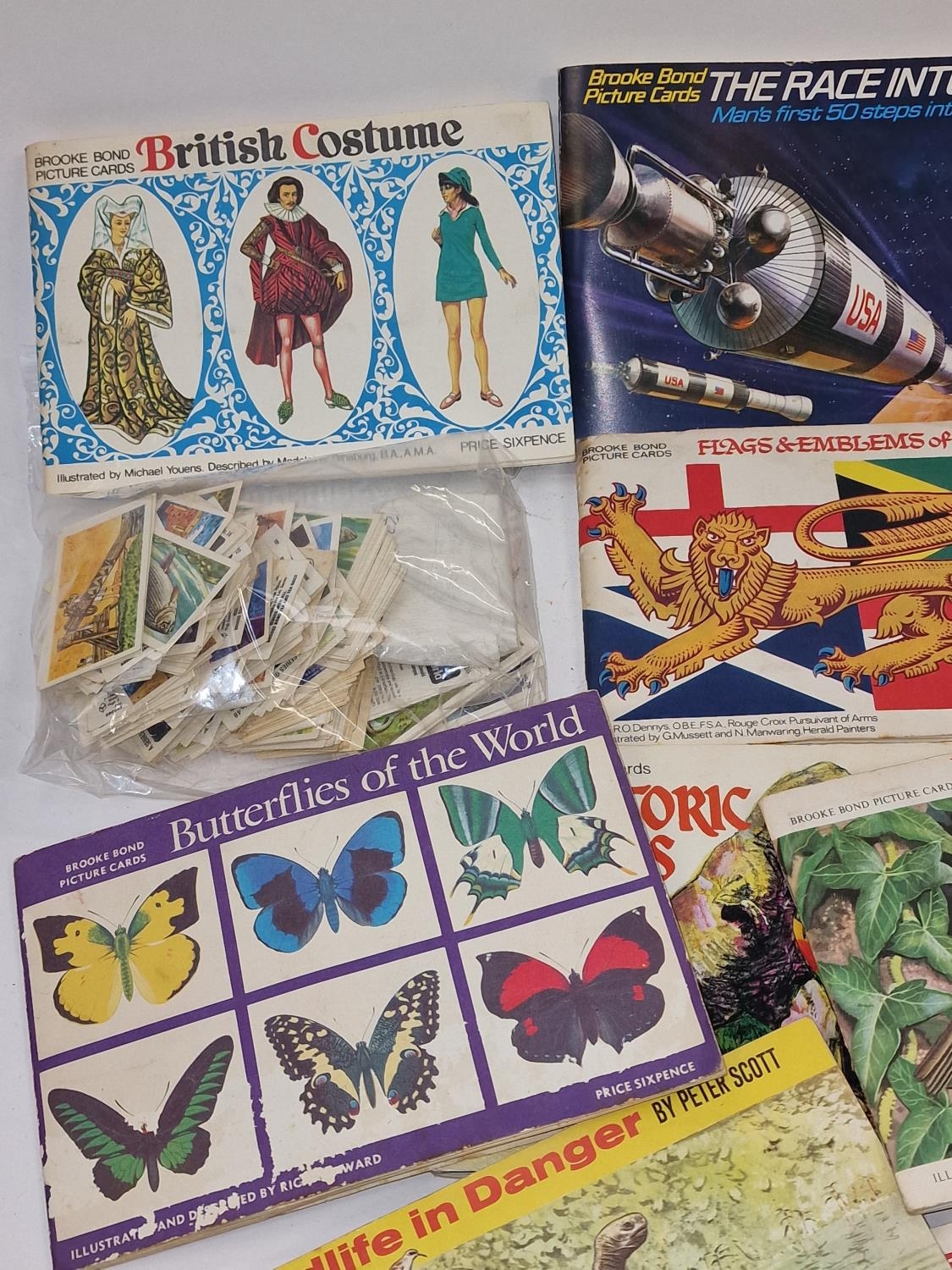 Collection of vintage Brooke Bond cigarette/tea card albums. 17 in total together with a bag of - Image 3 of 4