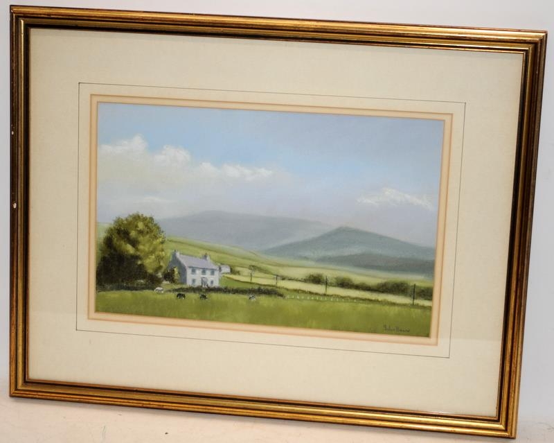 'Farm In Snowdonia' landscape in pastels signed John Brown. Frame size 53cms x 40cms