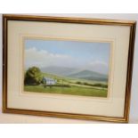 'Farm In Snowdonia' landscape in pastels signed John Brown. Frame size 53cms x 40cms