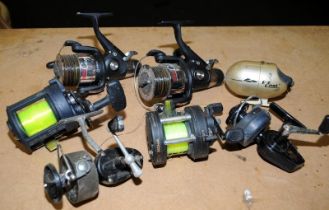 A collection of quality fishing reels including Vigor Carp reels, Shakespeare and Okuma multipliers,