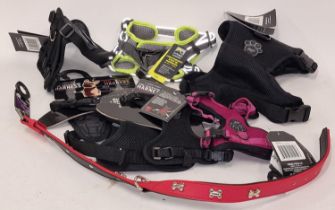 Various dog harnesses and a collar.BNWT (19)