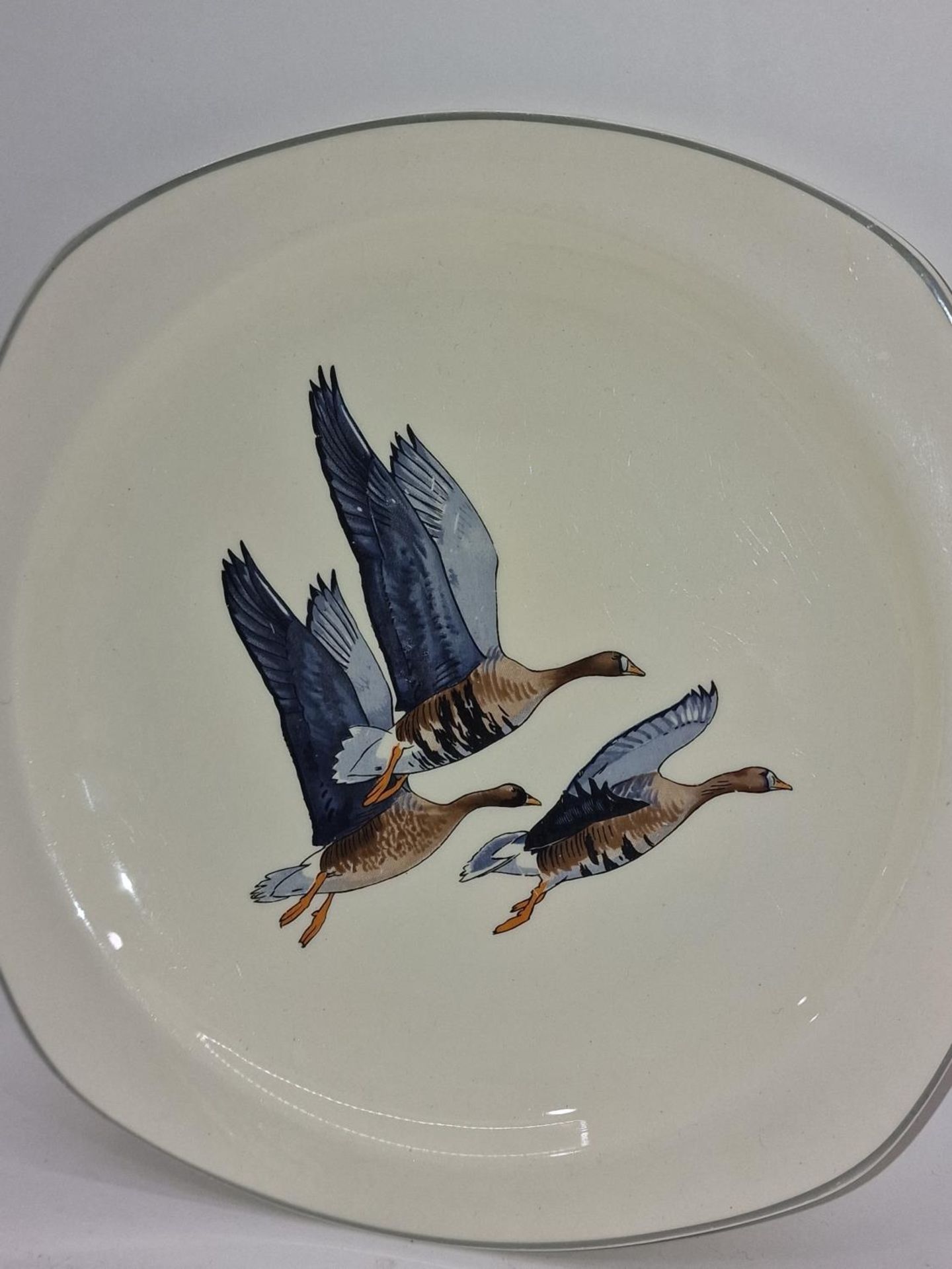 Midwinter Stylecraft Peter Scott "Wild Geese" three plates together with some pieces of Susie Cooper - Image 4 of 4