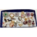 A large collection of collectable Brooches