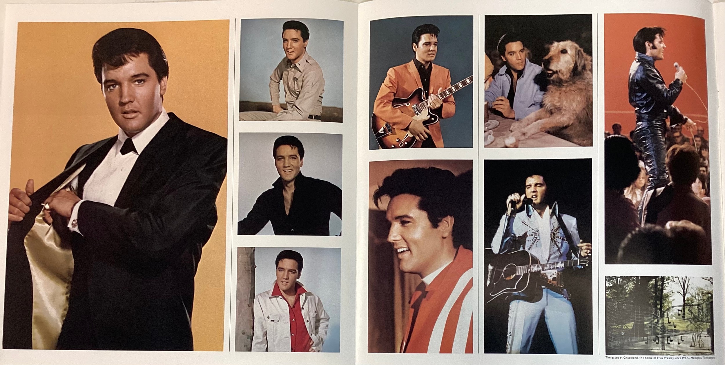 ELVIS ARON PRESLEY 1955/1980 25 ANNIVERSARY 8 LP BOX SET. Super limited edition set of 8 albums - Bild 8 aus 9