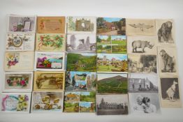 A quantity of late C19th and C20th postcards, mainly UK, including some natural history, and a
