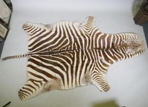 A Zebra skin rug, 152 x 265cm