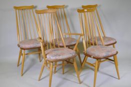 A set of five mid century blond Ercol Goldsmith dining chairs in elm and beech, four model 369,