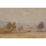David A. Baxter, landscape with grazing sheep, signed, watercolour, 37 x 53cm