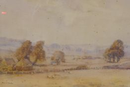 David A. Baxter, landscape with grazing sheep, signed, watercolour, 37 x 53cm