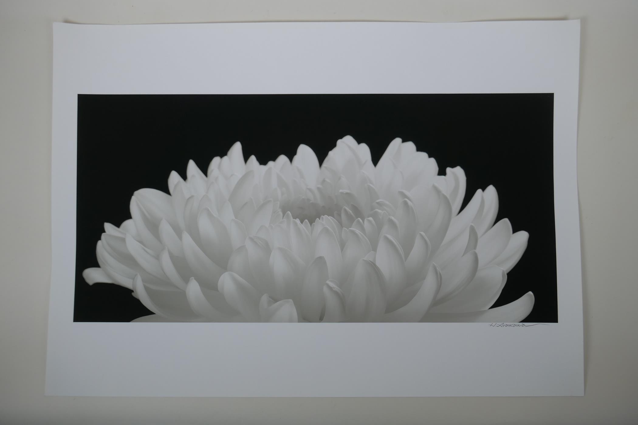 After Hiroyuki Arakawa (Japanese, b.1951), A Spiritual Power, photographic print from his flowers - Image 3 of 6