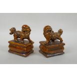 A pair of Chinese ochre glazed porcelain fo dogs, 10cm high