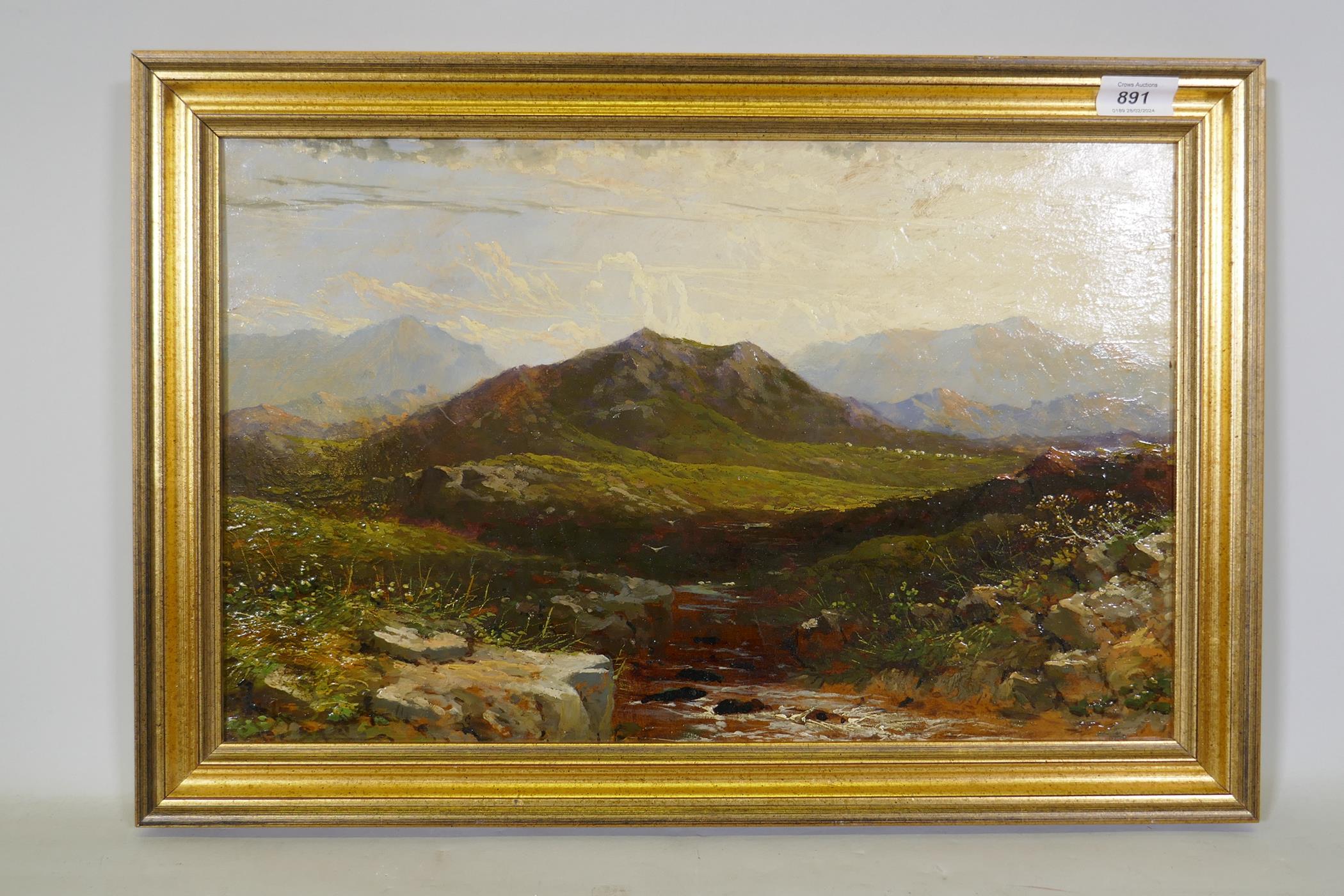 Highland landscape with sheep, unsigned, late C19th/early C20th, oil on board, 48 x 30cm - Image 2 of 4